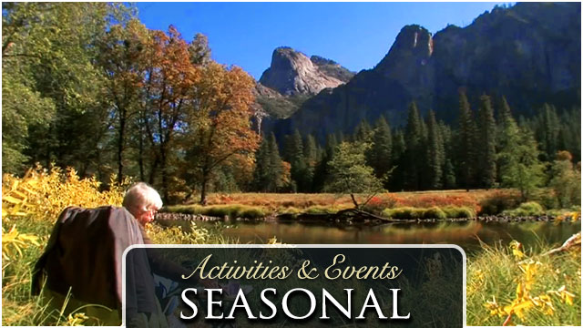 Seasonal Videos