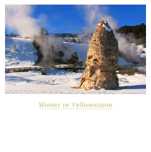 Winter in Yellowstone