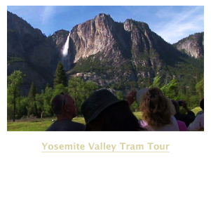 Yosemite Tram Tour