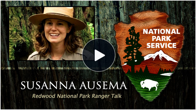 Redwood National Park Ranger