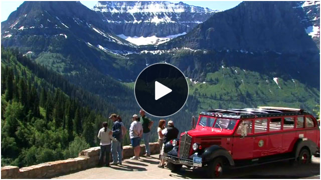 Glacier's Red Bus Tours