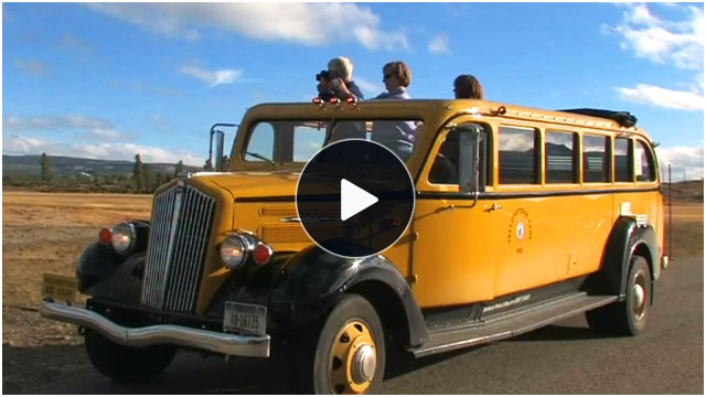 Yellowstone's Yellow Bus Tours