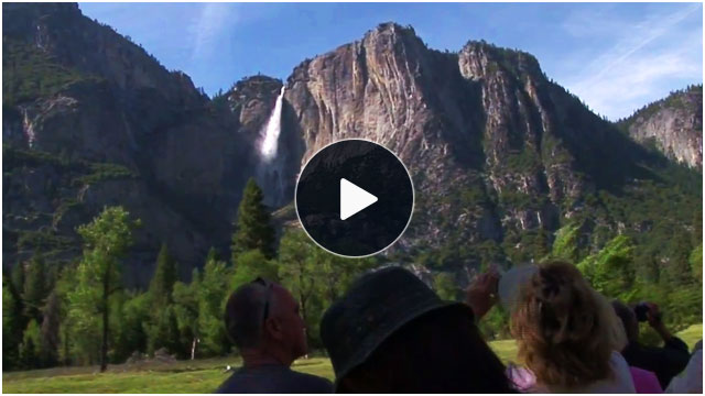 Yosemite Tram Tour