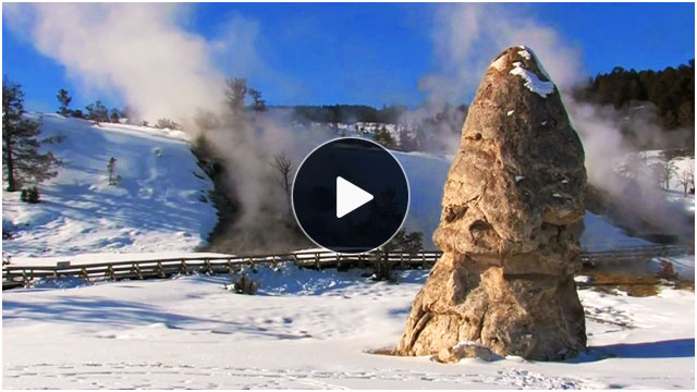 Winter in Yellowstone